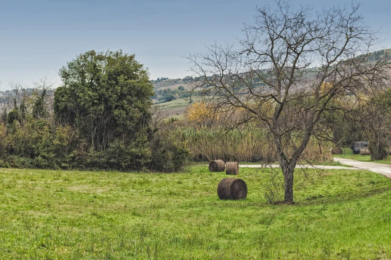 a couple of hay bales sitting on top of a lush green field, by Bernardo Cavallino, renaissance, sparse bare trees, bushes in the foreground, late autumn, quarter view