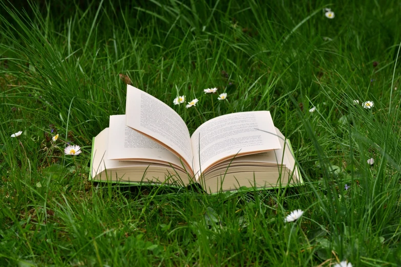 an open book sitting on top of a lush green field, vertical wallpaper, wildflowers and grasses, at a clearing, on ground