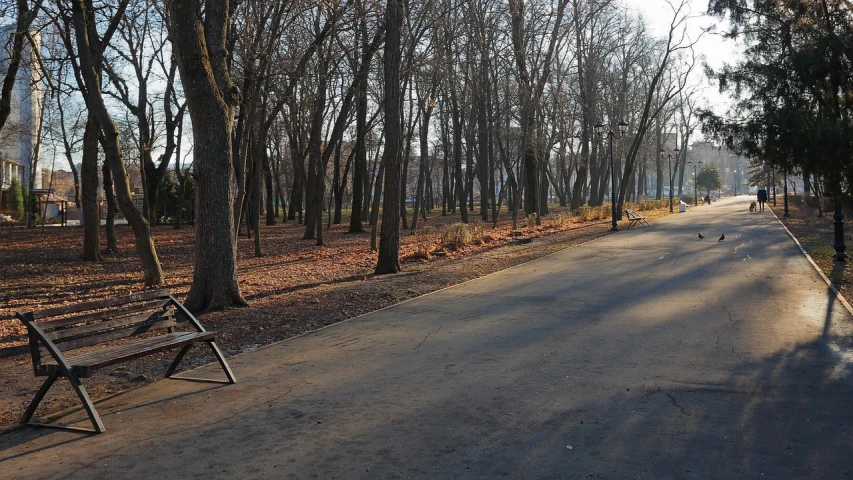 a park bench sitting on the side of a road, a picture, by Istvan Banyai, flickr, panorama shot, autumn bare trees, city morning, marat zakirov