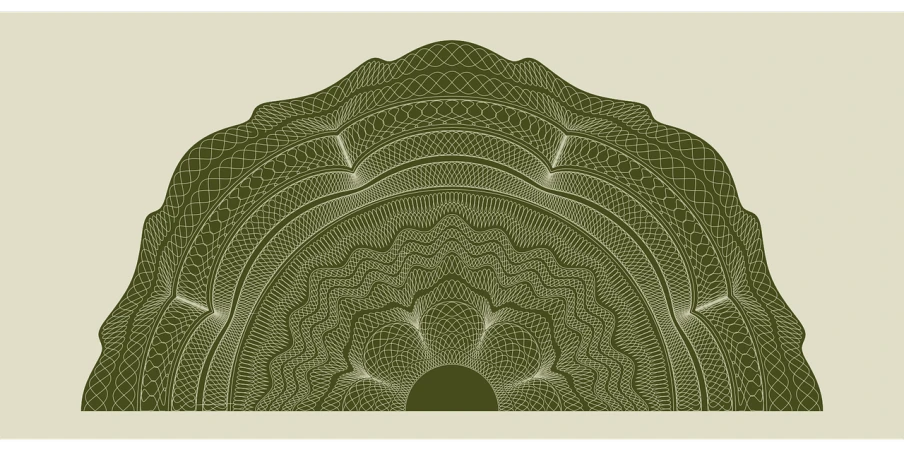 a drawing of a head of cabbage, a detailed drawing, abstract illusionism, border pattern, olive green, guilloche, zoomed view of a banknote