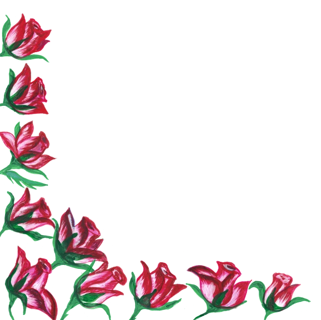 a border of pink flowers on a black background, a digital rendering, outlined hand drawn, tulips, black and red scheme, corners