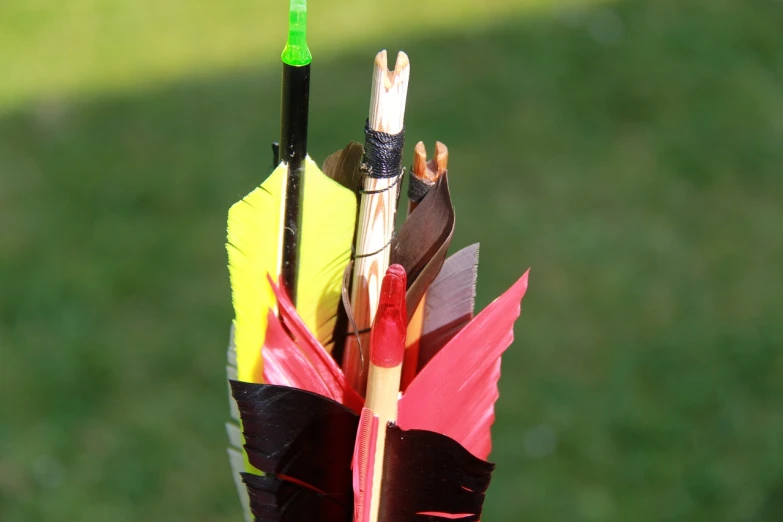 a close up of an arrow with arrows sticking out of it, by Erwin Bowien, rasquache, colored feathers, tournament, close-up product photo, very detailed photo