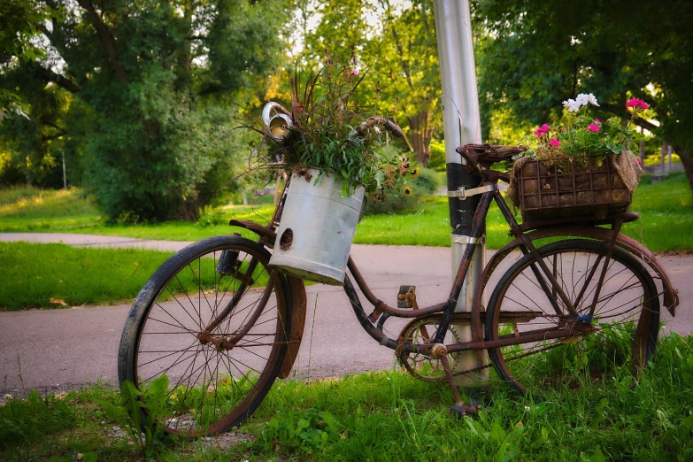 an old bicycle parked on the side of the road, by Antoni Brodowski, pixabay contest winner, folk art, flower pots, portrait!!!!, kodakchrome : : 8 k, watering can