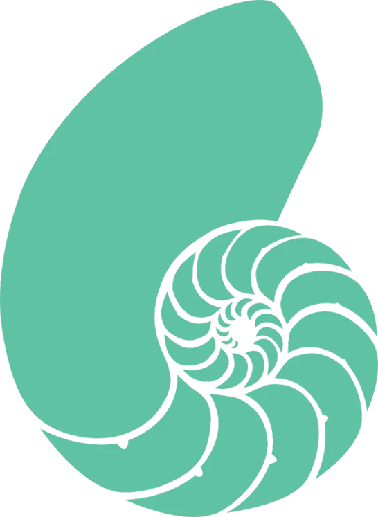 a nautish shell on a black background, inspired by Masamitsu Ōta, seafoam green, elbow, logo without text, worm