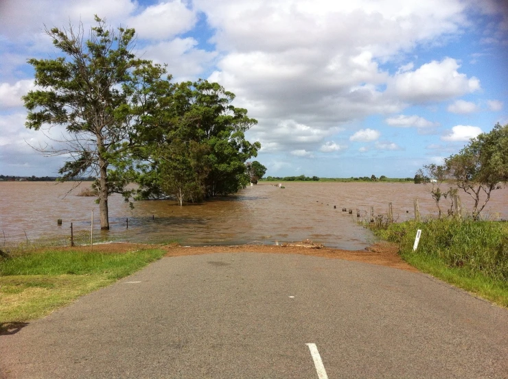 a flooded road with a tree in the middle of it, flickr, happening, oz, looking towards the horizon, near farm, sables crossed in background