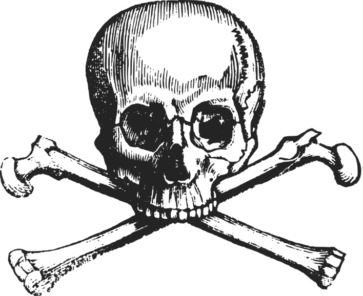 a skull and crossbones on a black background, inspired by Kōno Michisei, pixabay, gustave dore\' background, ( ( dithered ) ), uploaded, revolutionary