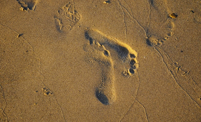 a pair of footprints in the sand on a beach, by Richard Carline, gnarly details soft light, hoog detail, birdseye view, platform