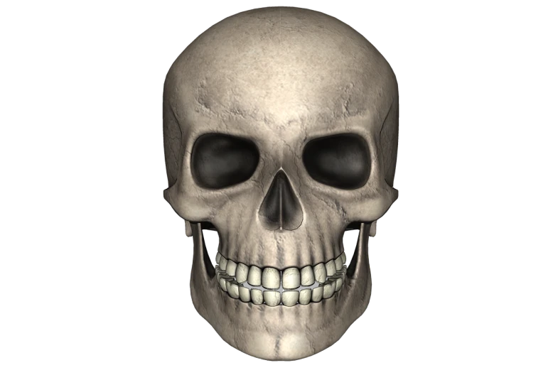 a close up of a skull on a black background, a digital rendering, raytraced realistic, !subtle smiling!, 3 d model, skull cap