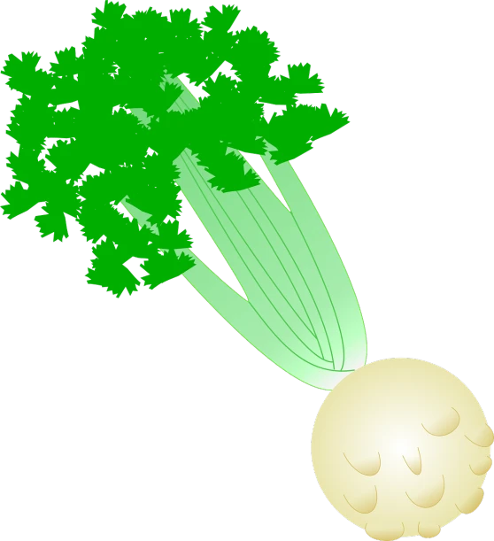 a sprout of celery on a black background, a digital rendering, inspired by Masamitsu Ōta, sōsaku hanga, balloon, on an island, comets, ( ( illustration