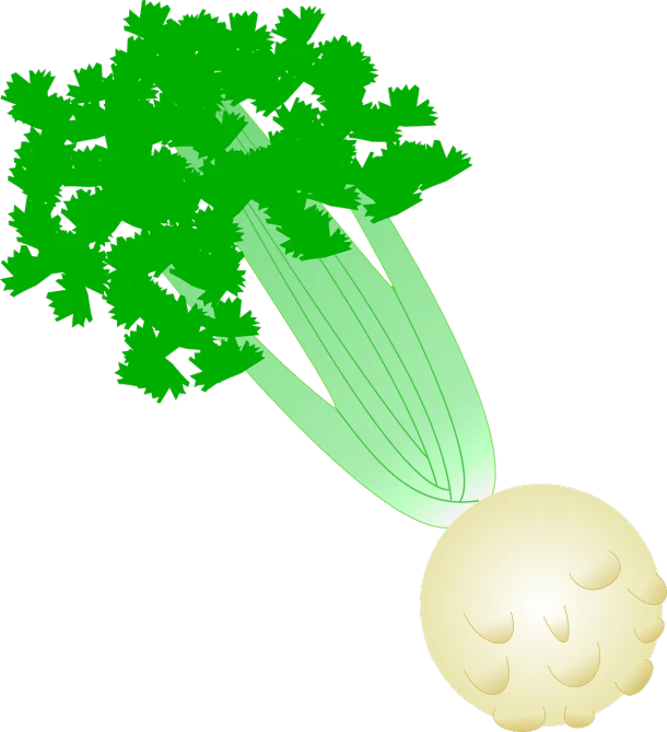 a sprout of celery on a black background, a digital rendering, inspired by Masamitsu Ōta, sōsaku hanga, balloon, on an island, comets, ( ( illustration