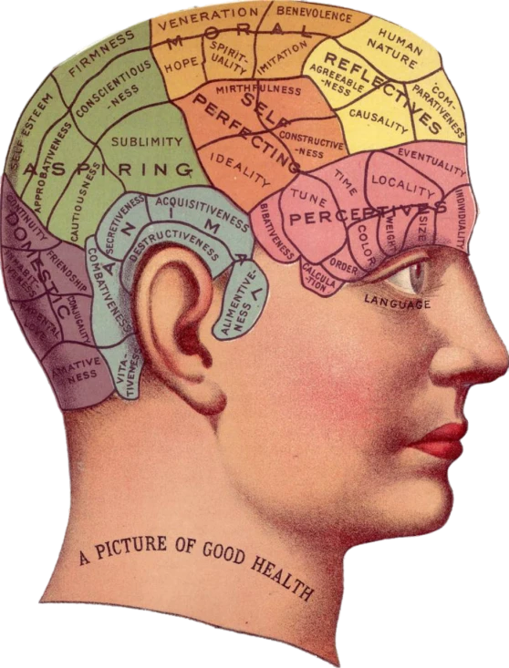 a close up of a person's head with a map on it, a diagram, by Joseph Henderson, digital art, human brain, vintage illustration, words, full color still