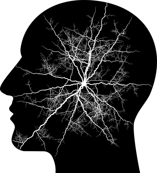 a black and white photo of a tree with no leaves, by Mirko Rački, generative art, neuron dendritic monster, on black background, high resolution lightning, computer generated