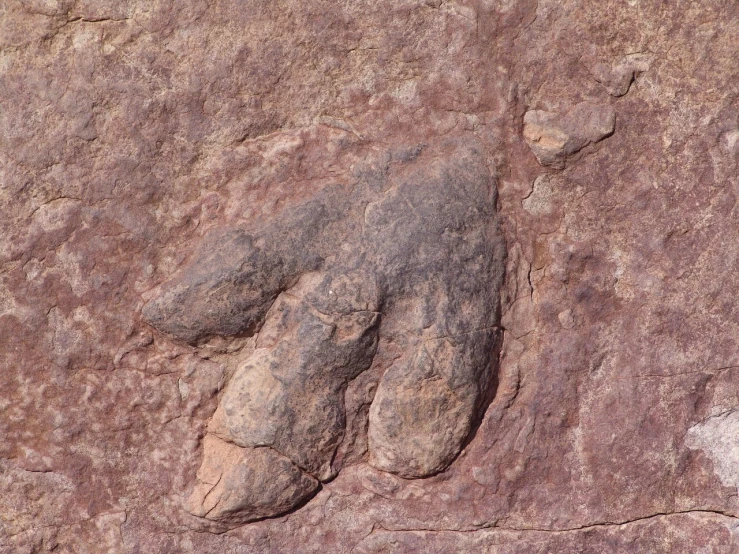 a close up of a person's hand on a rock, by Robert Brackman, figuration libre, nachosaurus, the forefoot to make a v gesture, moab, high resolution details