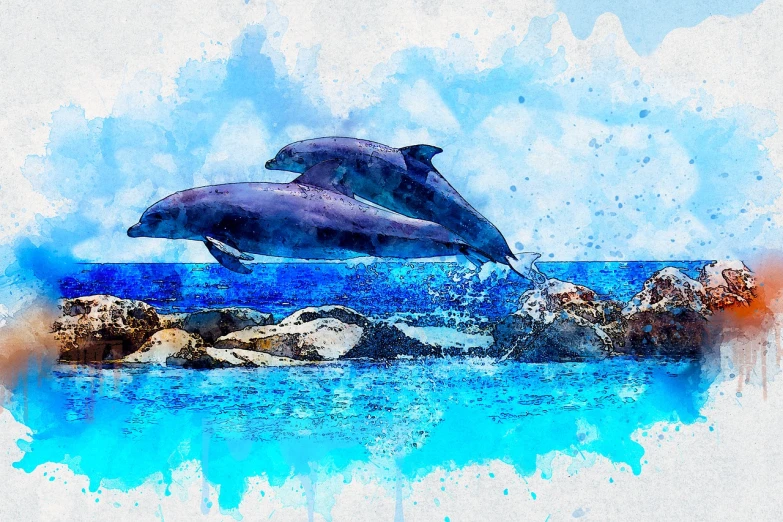 two dolphins are jumping out of the water, a watercolor painting, shutterstock, fine art, posterized color, best on adobe stock, tourist photo, seals