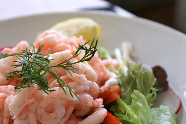 a close up of a plate of food on a table, by Maksimilijan Vanka, pixabay, shrimp, bahamas, 🦩🪐🐞👩🏻🦳, salad