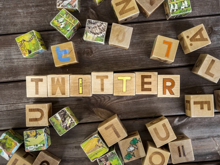 a wooden block with the word twitter spelled on it, a screenshot, by Paul Bird, shutterstock, happening, toys, in style of mike savad”, birds, bat