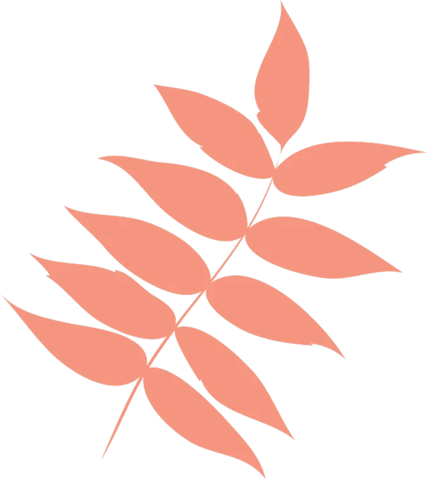 a pink leaf on a black background, a digital rendering, inspired by Masamitsu Ōta, sōsaku hanga, color palette is dark orange, twigs, icon, full res