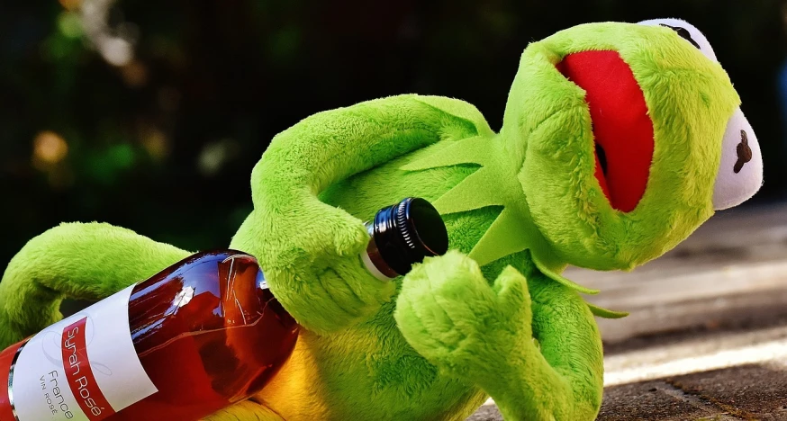 a close up of a stuffed animal with a bottle, a picture, inspired by Károly Brocky, pexels, kermit, drinking alcohol, close-up fight, avatar image
