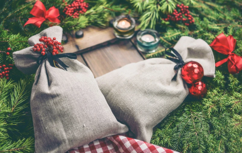 a couple of bags sitting on top of a lush green field, by Maksimilijan Vanka, shutterstock, santa inside a rustic barn, decorations, flatlay, red-fabric