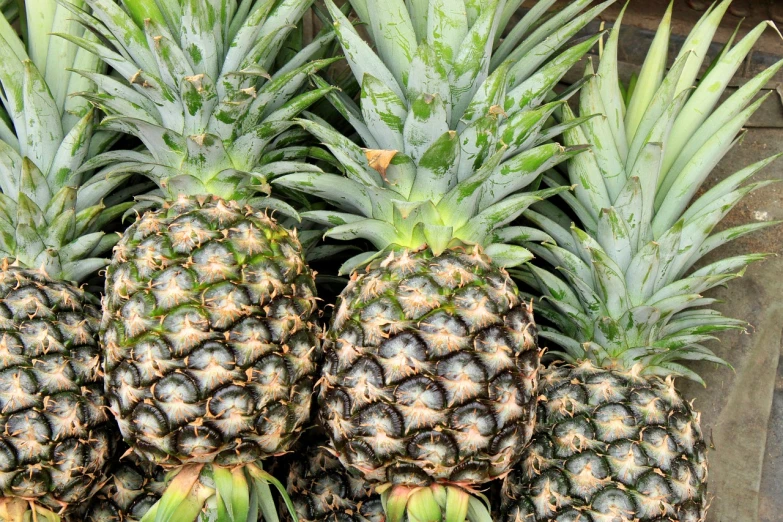 a pile of pineapples sitting on top of each other, a portrait, pixabay, 🦩🪐🐞👩🏻🦳, digital photograph, recipe, extra detail