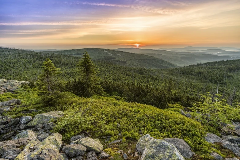 a view from the top of a mountain at sunset, a picture, by Juergen von Huendeberg, shutterstock, beautiful swedish forest view, black forest, stock photo