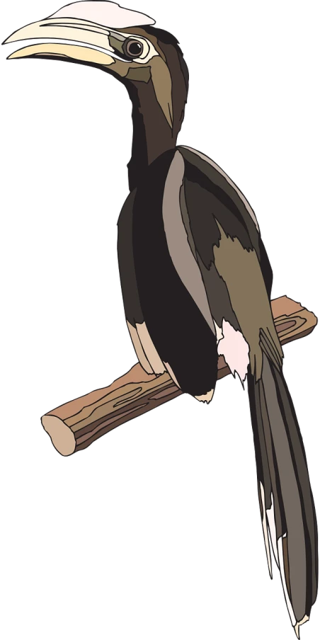 a black and white bird sitting on a branch, an illustration of, pixabay, mingei, wikihow illustration, tamandua, close-up shot from behind, cel shaded vector art
