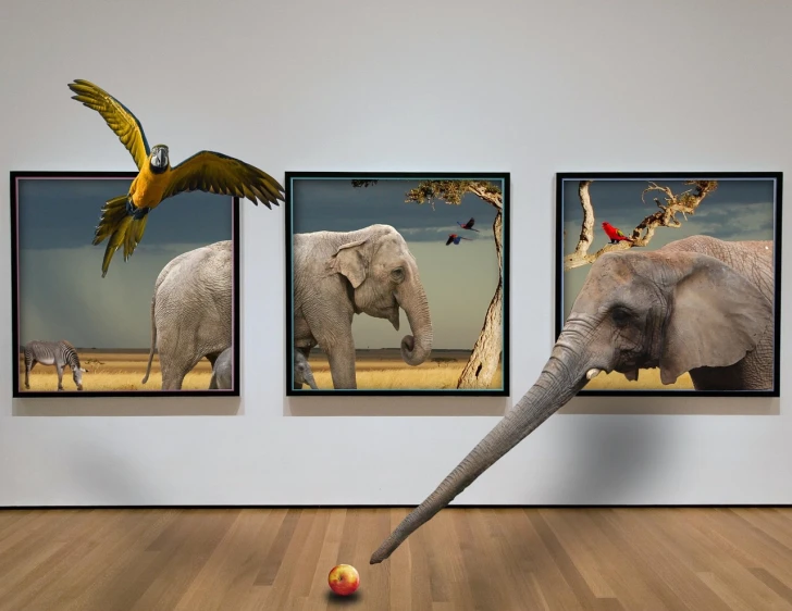 an elephant playing with a ball in an art gallery, inspired by Storm Thorgerson, flickr, magic realism, three views, thiago lehmann, lois greenfield, various animals