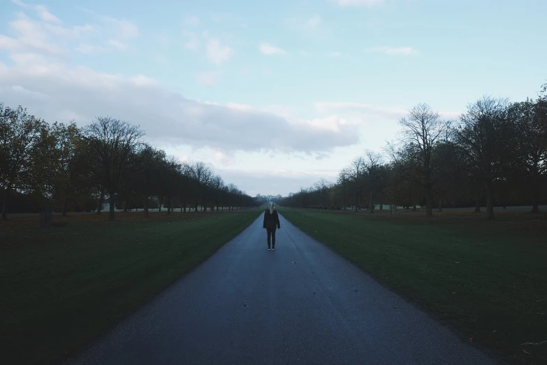 a person walking down a road in the middle of a park, inspired by Thomas Struth, unsplash, mystical kew gardens, in an empty field, ominous figure in the background, symmetrical portrait