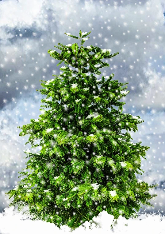 a picture of a christmas tree in the snow, by Maksimilijan Vanka, pixabay, fine art, an ultra realistic, avatar image, snow flurries, a green