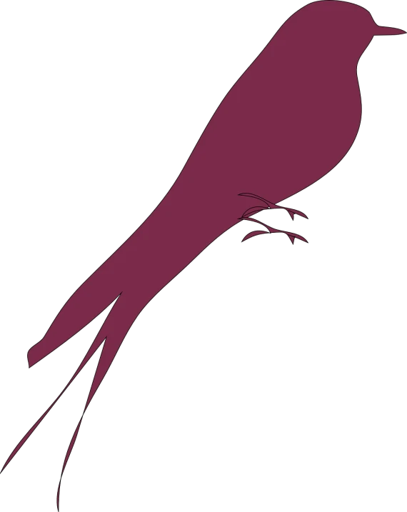 a silhouette of a bird on a black background, an illustration of, by Paul Bird, hurufiyya, smooth fuschia skin, background image, caravaggesque style, mauve background
