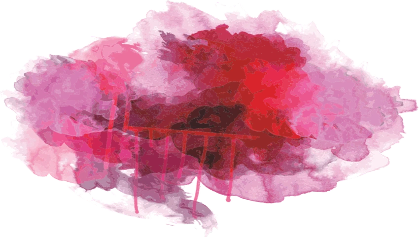 a red and pink flower on a black background, a digital painting, inspired by Julian Schnabel, action painting, pink clouds background, blood smear, pink water in a large bath, romantic simple path traced