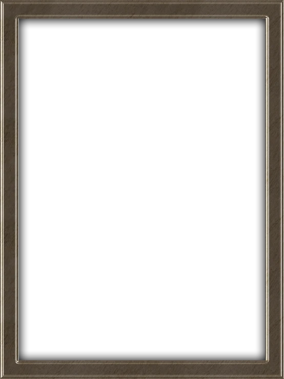 a picture frame with a black background, a digital rendering, minimalism, phone wallpaper. intricate, gradient brown to silver, large vertical blank spaces, charcoal and champagne