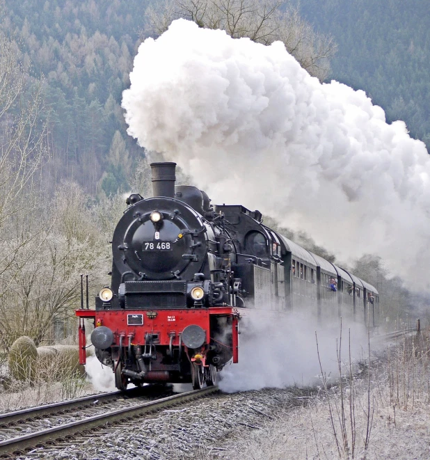 a train traveling down train tracks next to a forest, a picture, by Werner Gutzeit, flickr, romanticism, brass and steam technology, winter, istockphoto, a steam wheeler from 1880s