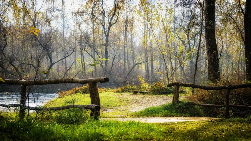 a path through a forest next to a body of water, a picture, by Antoni Brodowski, trending on pixabay, romanticism, rough wooden fence, grassy autumn park outdoor, light green mist, post processed