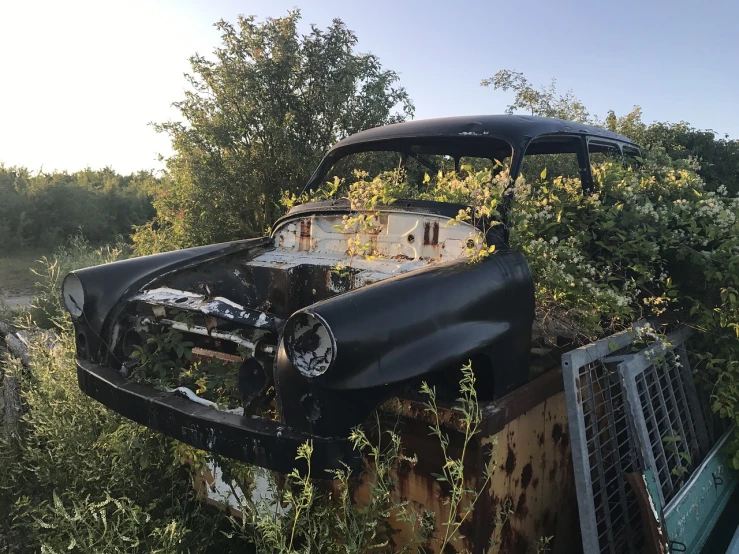 an old car that is sitting in the grass, by Géza Dósa, unsplash, auto-destructive art, covered in vines, oklahoma, soviet yard, black car