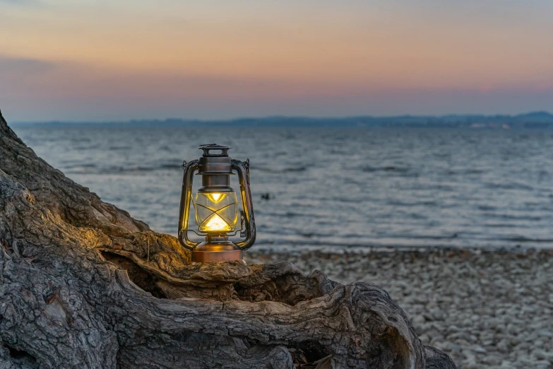 a lantern sitting on top of a tree stump next to the ocean, a portrait, gas lamps, soft illumination, very detailed photo, landscape photo