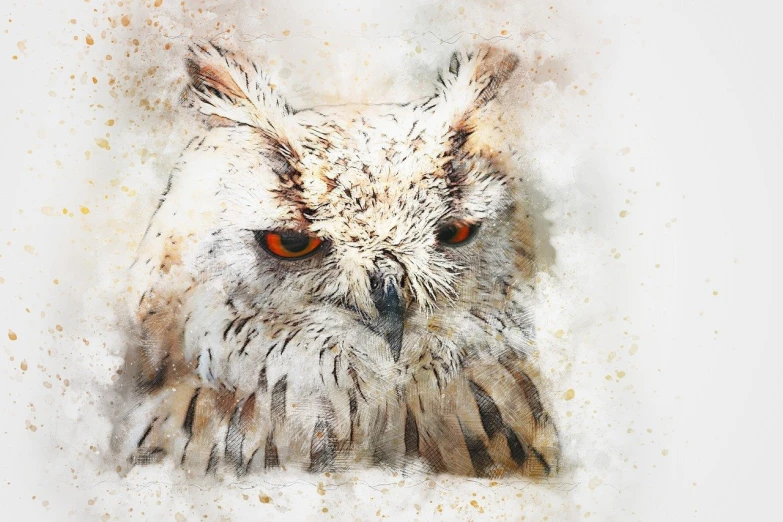 a painting of an owl with orange eyes, a watercolor painting, shutterstock, fine art, mixed media style illustration, beautiful brush stroke rendering, determined expression, scribbled