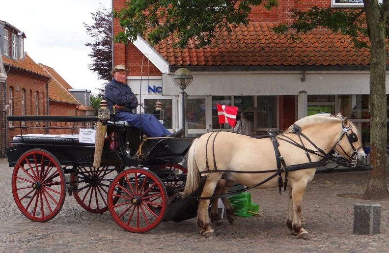a man riding on the back of a horse drawn carriage, a photo, by Knud Agger, flickr, village square, denmark, beautiful lady, summer 2016