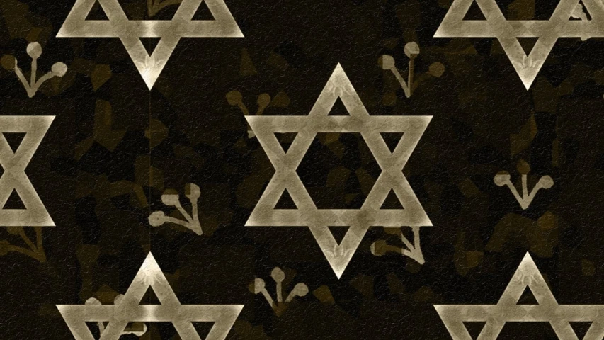 a star of david pattern on a black background, a digital rendering, inspired by Israel Tsvaygenbaum, background full of brown flowers, snapchat photo, stamped, gilded marbled paper background