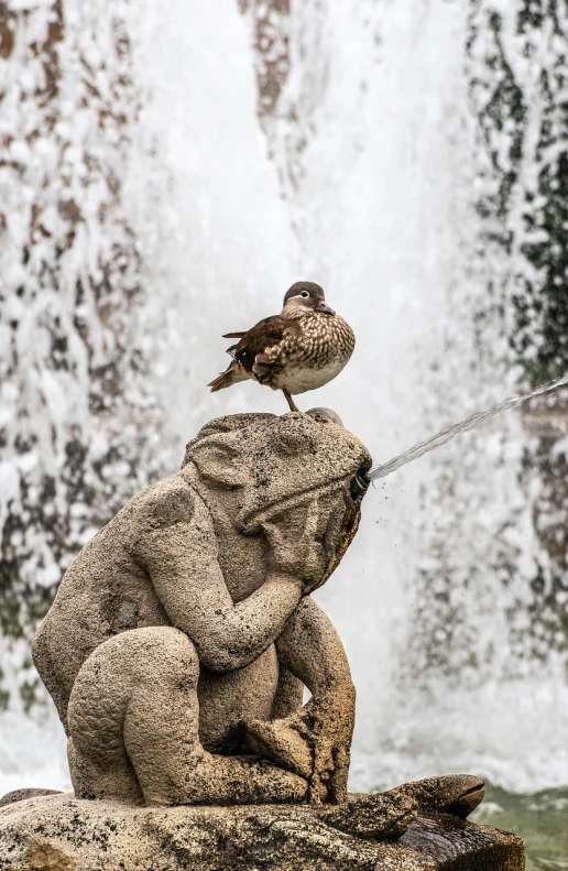 a bird sitting on top of a statue in front of a waterfall, by Cherryl Fountain, figuration libre, mallard (anas platyrhynchos), focused photo