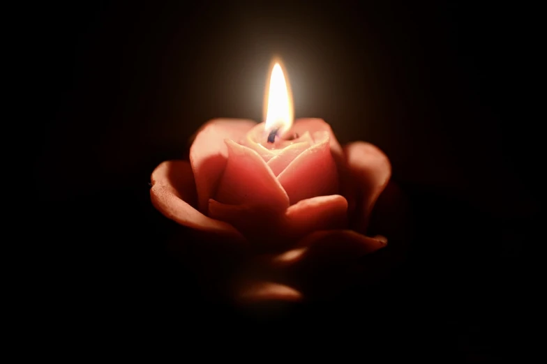 a person holding a lit candle in their hand, a picture, by Rhea Carmi, shutterstock, romanticism, photo of a rose, candle volumetric, night photo, rose pink lighting