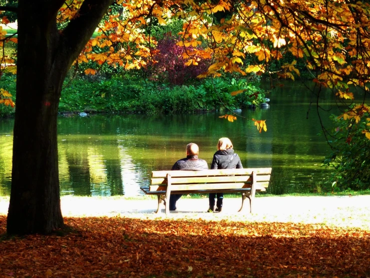 a couple of people that are sitting on a bench, a photo, by senior artist, autumn colours, slice of life”, mmmmm, sweden