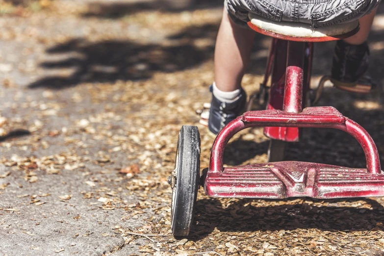 a close up of a person riding a tricycle, by Jakob Gauermann, fine art, toddler, adventure playground accident, super detailed image, in the park