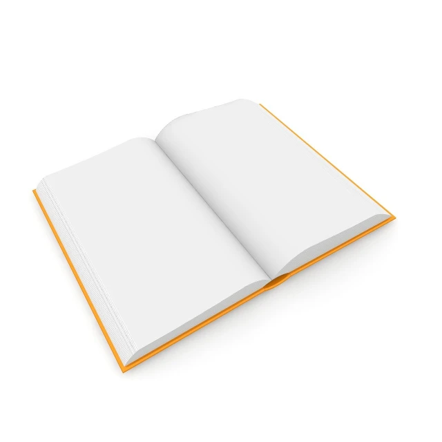 an open book on a white surface, an illustration of, orange color, clean 3 d render, top-down shot, whole page illustration
