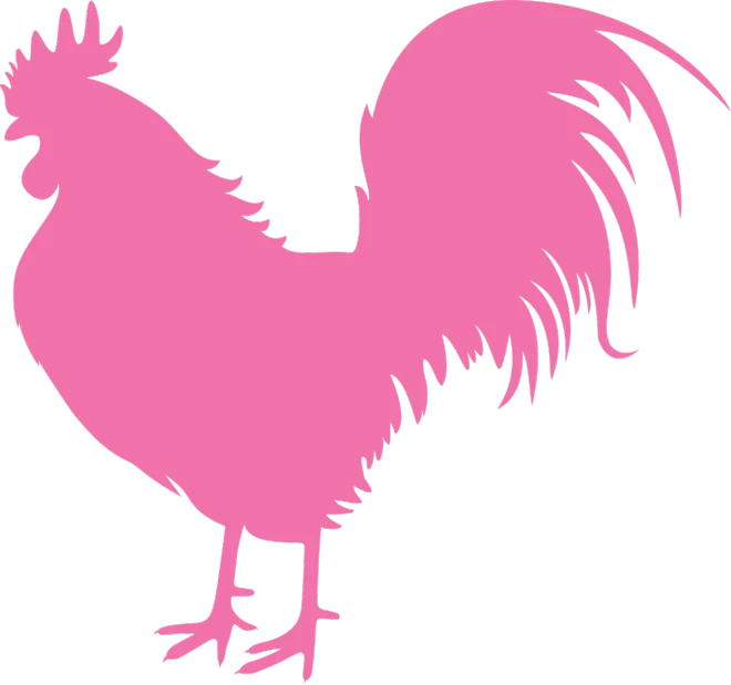 a pink rooster on a black background, silhouetted, pink background, skinny, barnet