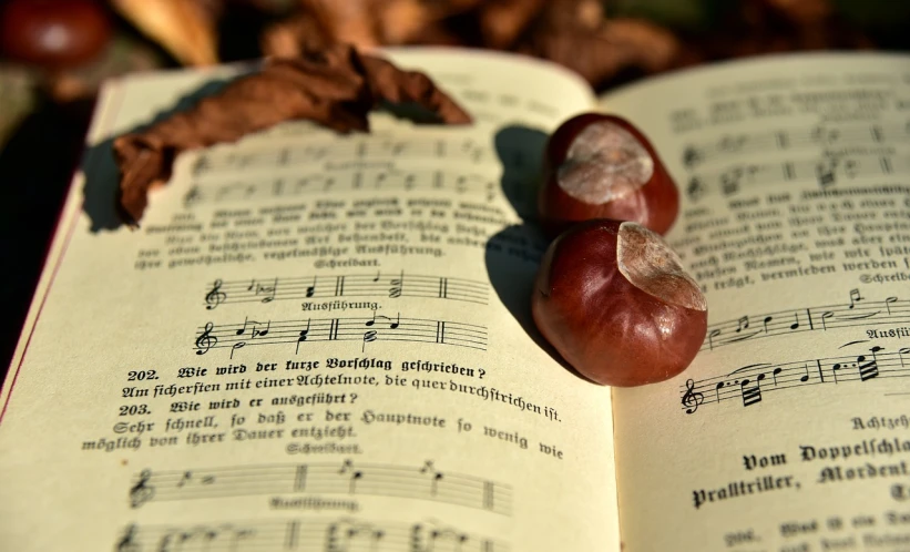 two chestnuts sitting on top of an open book, by Niko Henrichon, pixabay, focus on the musicians, choir, in autumn, ernst haekel