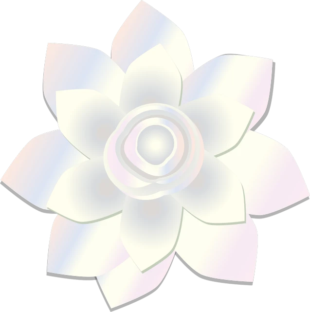 a white flower on a black background, a digital rendering, inspired by Nagasawa Rosetsu, sōsaku hanga, mother of pearl iridescent, clipart, white background and fill, rose quartz