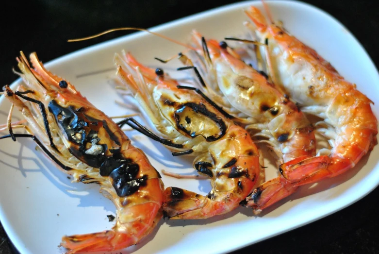 a white plate topped with grilled shrimp on top of a table, a portrait, inspired by Masamitsu Ōta, pixabay, sōsaku hanga, shiny skin”, taken with a canon eos 5 d, enamel, seen from below