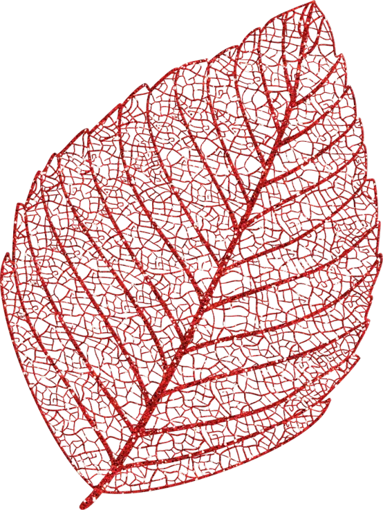 a close up of a red leaf on a black background, a digital rendering, net art, glitter, ultra detailed wire decoration, -h 1024, glittering multiversal ornaments