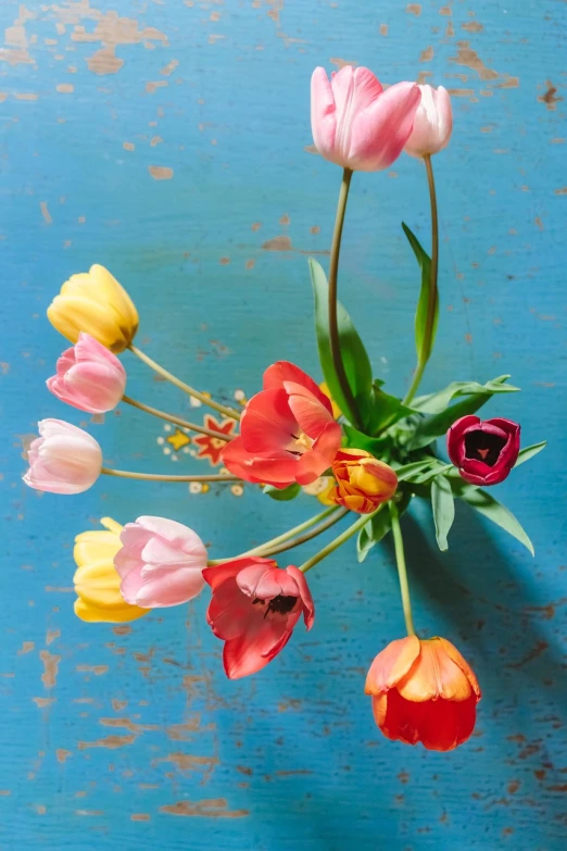 a close up of a bunch of flowers in a vase, fine art, tulip, top down photo, splashes of colors, with a blue background